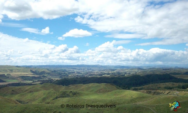Estrada - Nova Zelandia