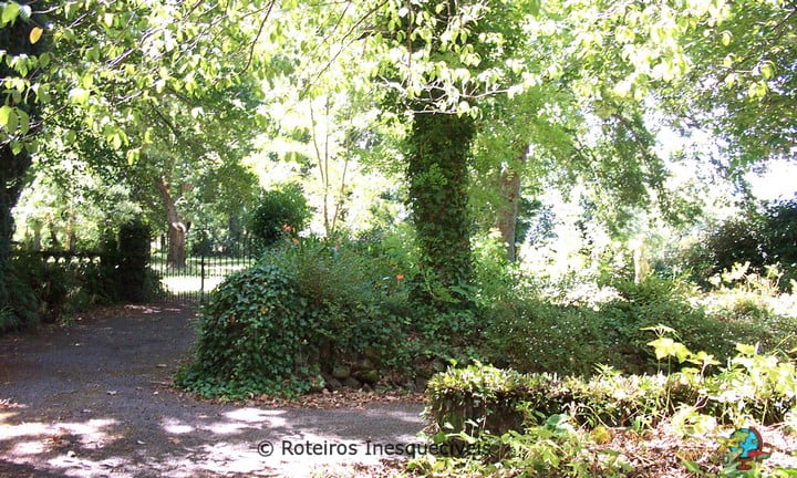 Fernside - Nova Zelandia