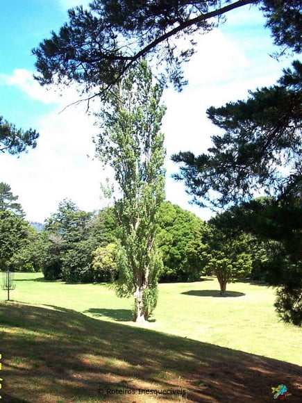 Harcourt Park - Nova Zelandia