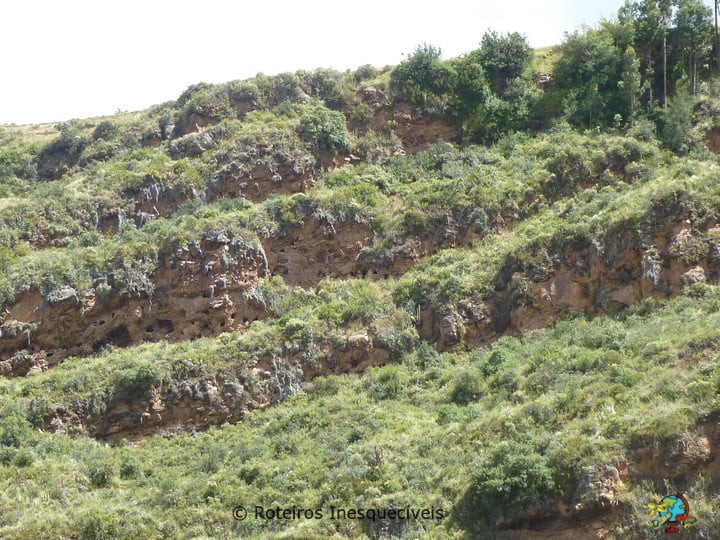Pisac - Valle Sagrado - Cusco - Peru