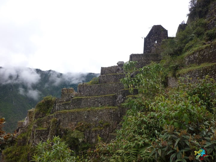 Huayna Picchu - Machu Picchu - Peru