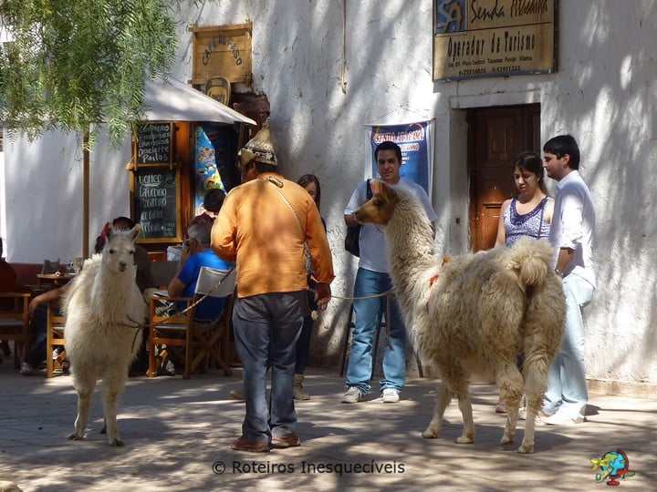 Praca - San Pedro de Atacama - Deserto de Atacama