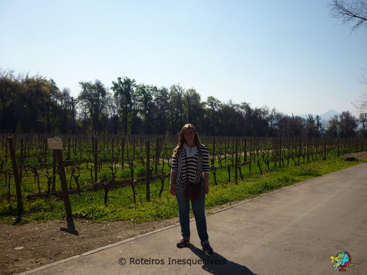 Vinicola Cousino Macul - Santiago - Chile