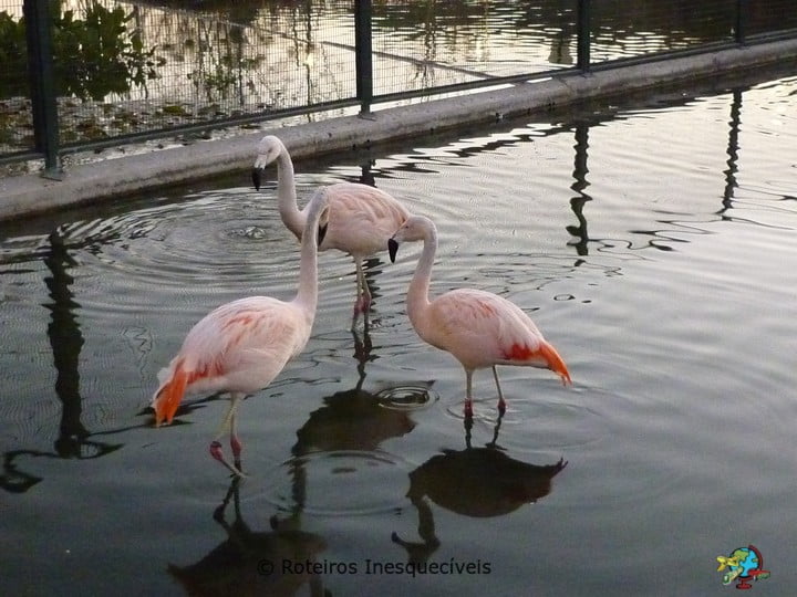 Parque Bicentenario - Santiago - Chile