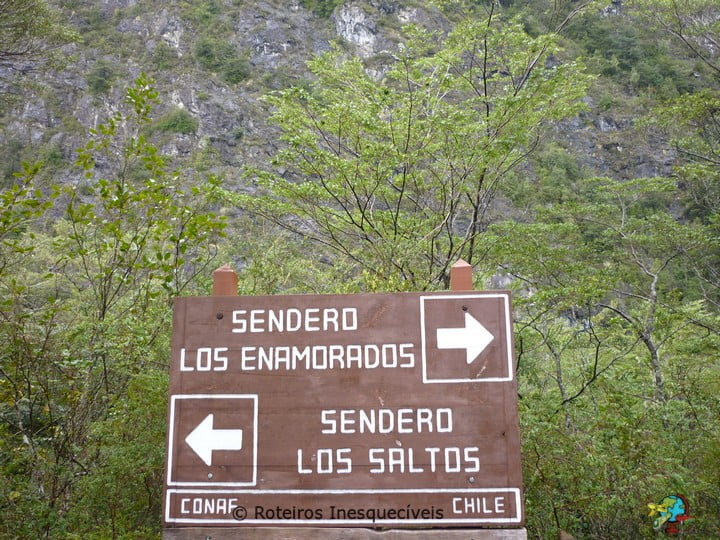 Saltos de Petrohue - Lagos Andinos