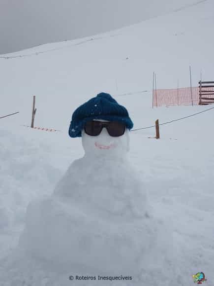 Vulcao Osorno - Lagos Andinos