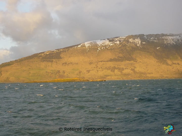 Passeio Glaciares Balmaceda e Serrano - Patagonia Chilena