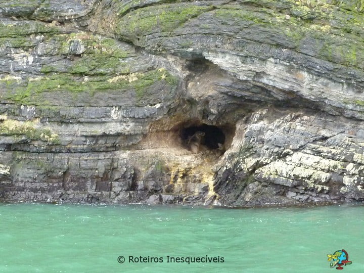 Passeio Glaciares Balmaceda e Serrano - Patagonia Chilena