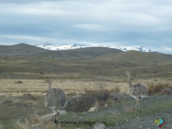 Torres del Paine - Patagonia Chilena