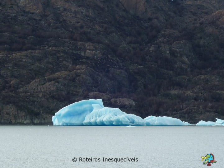 Lago e Glaciar Grey - Torres del Paine - Patagonia Chilena