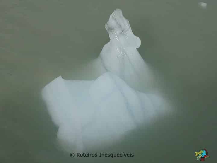 Lago e Glaciar Grey - Torres del Paine - Patagonia Chilena