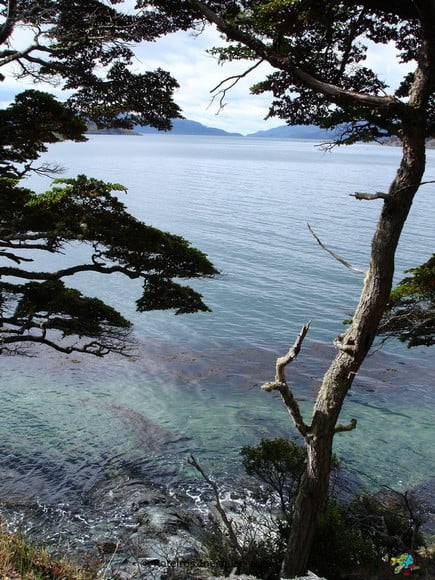 Parque Tierra del Fuego - Patagonia Argentina