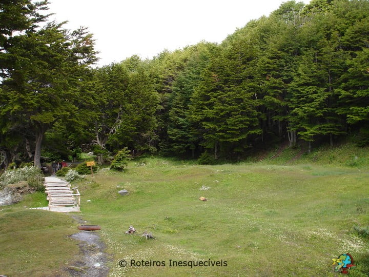 Parque Tierra del Fuego - Patagonia Argentina