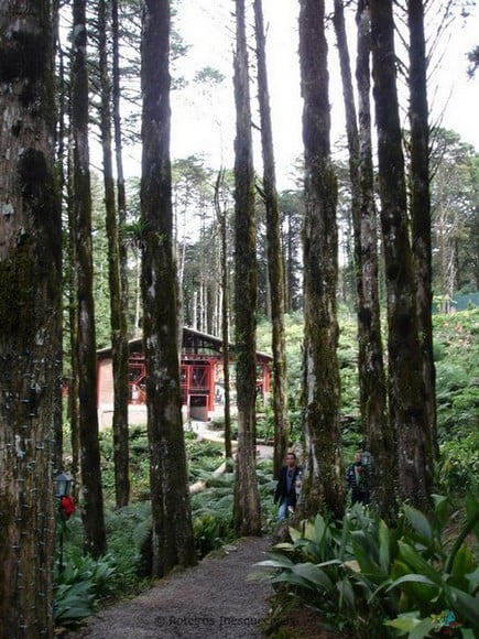 Aldeia do Papai Noel - Gramado - Serra Gaucha