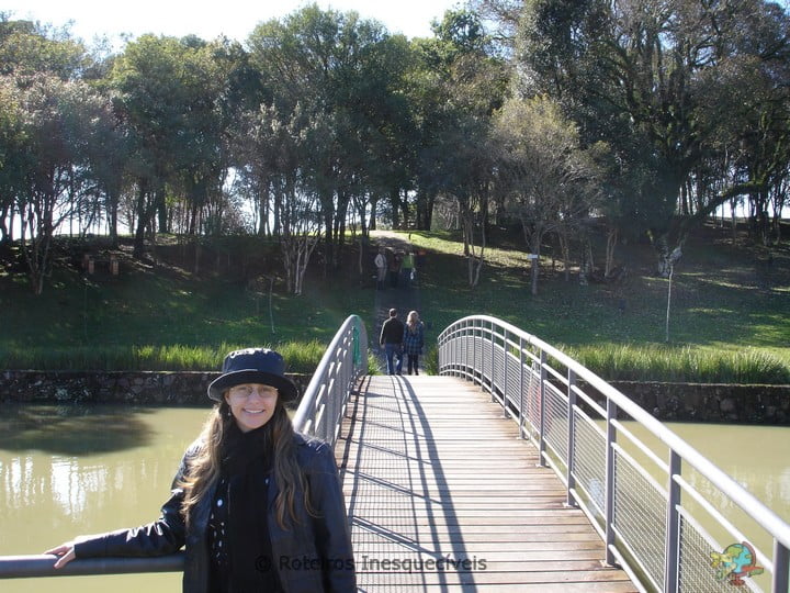 Miolo - Vale dos Vinhedos - Bento Goncalves