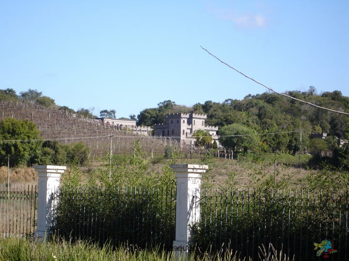 Miolo - Vale dos Vinhedos - Bento Goncalves