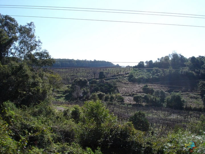 Vale dos Vinhedos - Bento Goncalves - Serra Gaucha