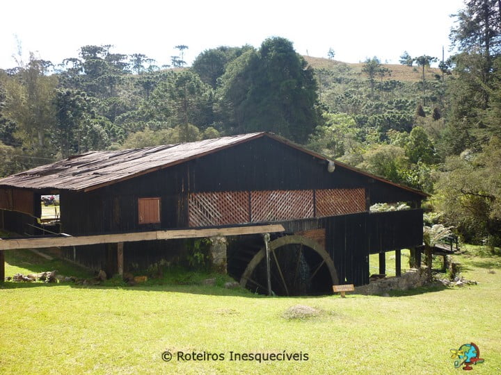 Horto Florestal - Campos do Jordao