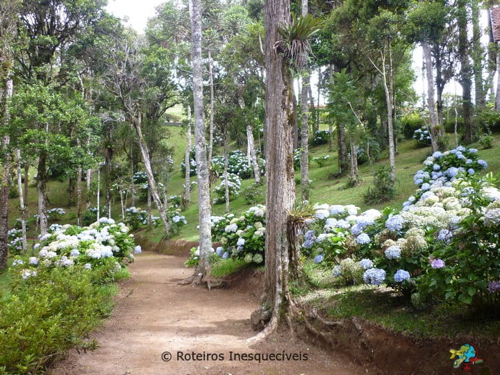 Surya-Pan - Campos do Jordão