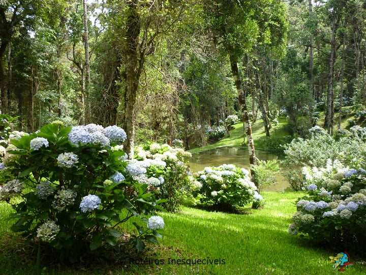 Surya-Pan - Campos do Jordão