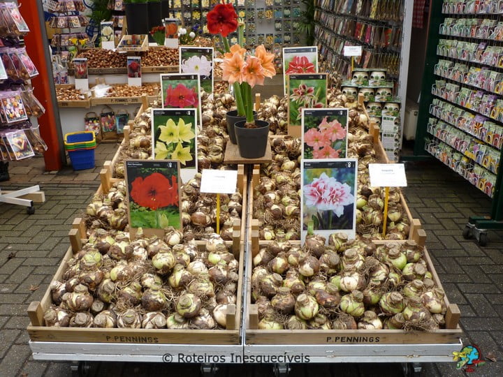 Mercado de Flores - Amsterdam - Holanda