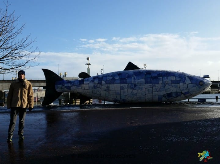Big Fish - Belfast - Irlanda do Norte