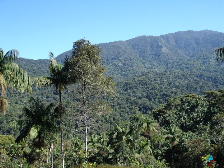 Vista - Parque Nacional do Itatiaia