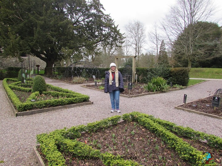 Plantas Venenosas - Blarney Castle - Irlanda