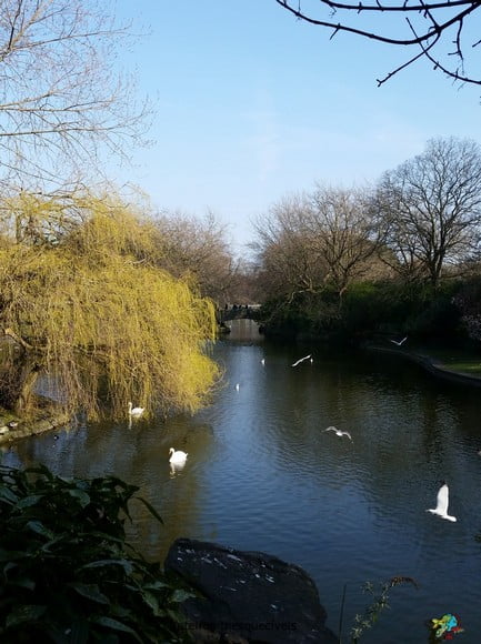 St Stephen's Green - Dublin - Irlanda