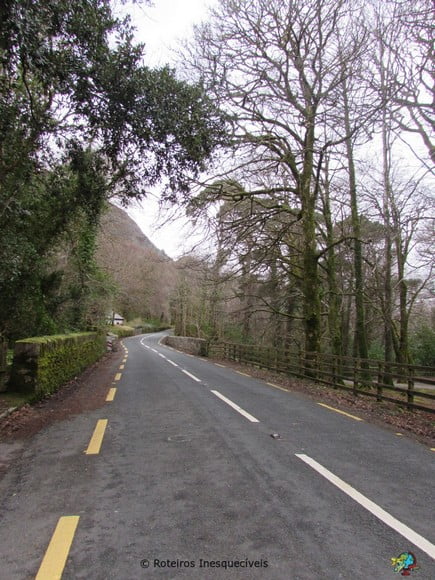 Estrada - Kerry Ring - Irlanda