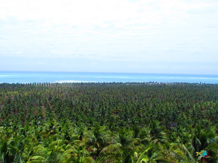 Praia do Gunga - Litoral Sul - Maceio - Alagoas