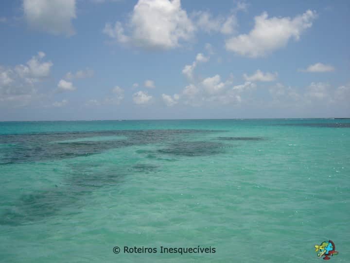 Gales de Maragogi - Alagoas