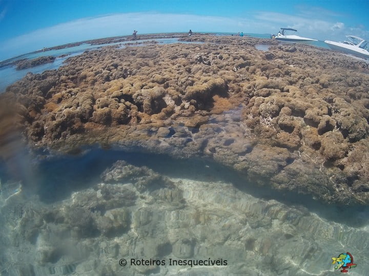 Gales de Maragogi - Alagoas