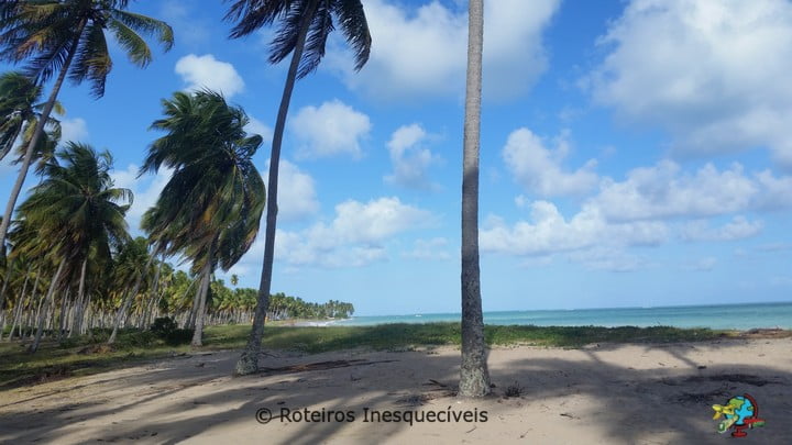 Praia do Patacho - Sao Miguel dos Milagres - Alagoas