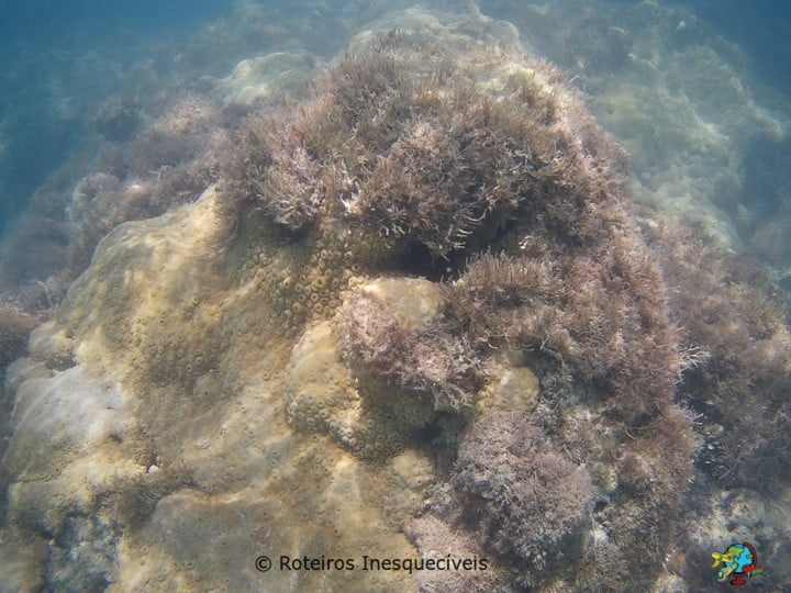Piscina Natural do Toque - Sao Miguel dos Milagres - Alagoas