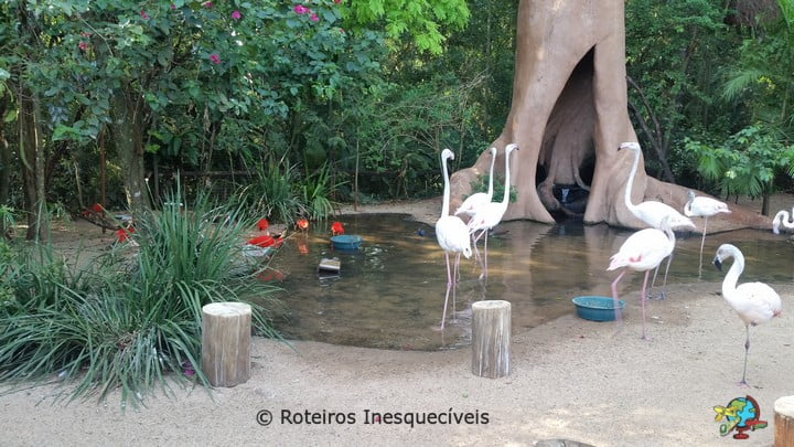 Parque das Aves - Foz do Iguacu - Parana