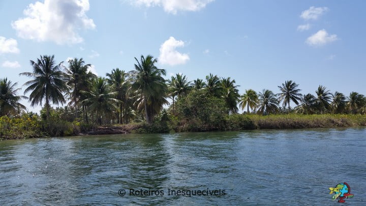Foz do Sao Francisco - Piacabucu - Alagoas