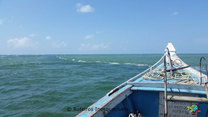 Foz do Sao Francisco - Piacabucu - Alagoas