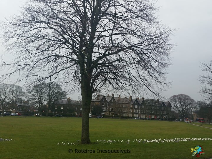 Chegada - York - Inglaterra