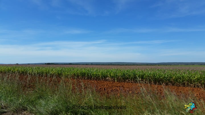 Estrada - Chapada dos Veadeiros