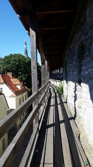 Hellemann Tower & Wall - Tallinn - Estonia