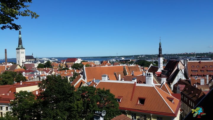 Mirante Kohtuotsa - Tallinn - Estonia