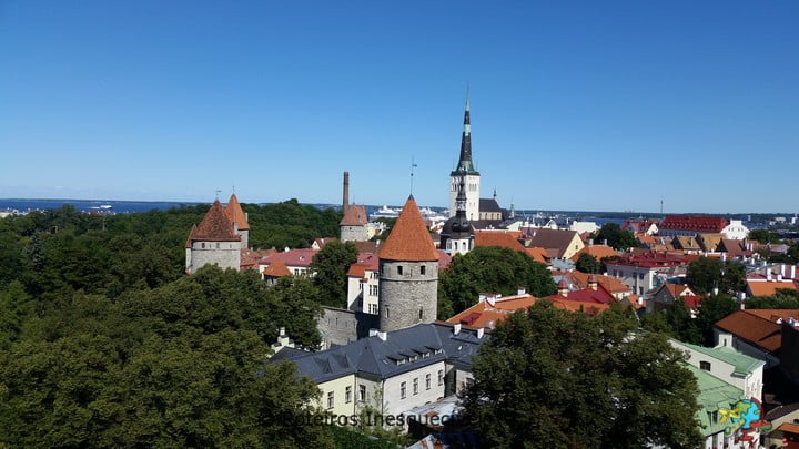 Mirante Patkuli - Tallinn - Estonia