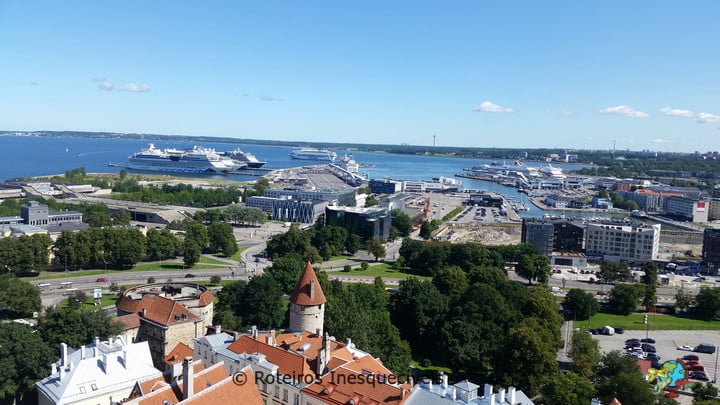 St Olav Tower - Tallinn - Estonia