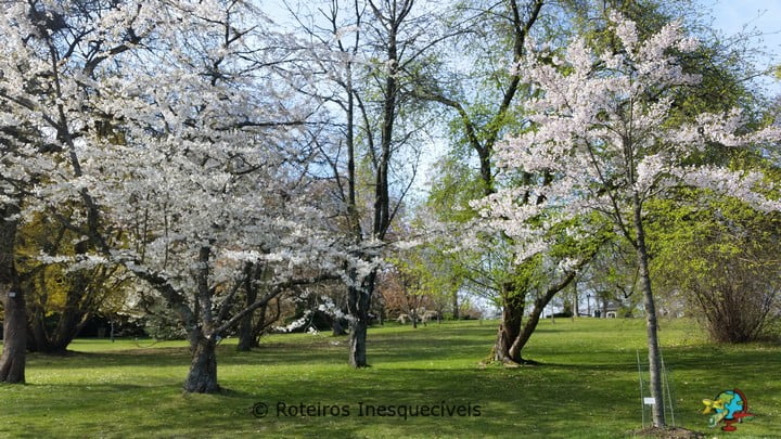 Jardim Botanico - Gotemburgo - Suecia