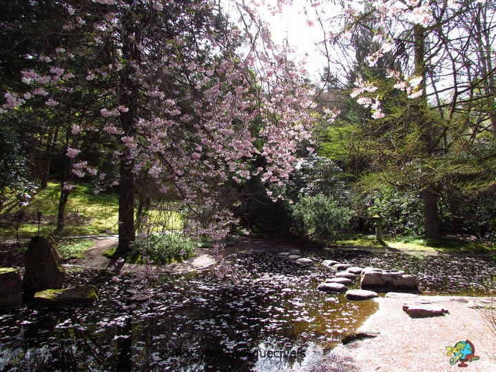 Jardim Botanico - Gotemburgo - Suecia