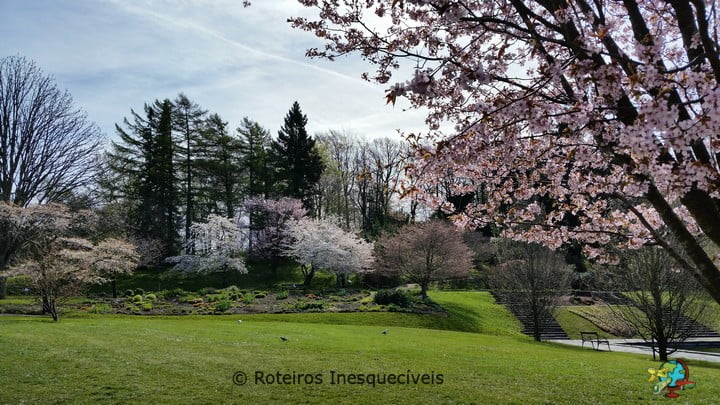 Jardim Botanico - Gotemburgo - Suecia