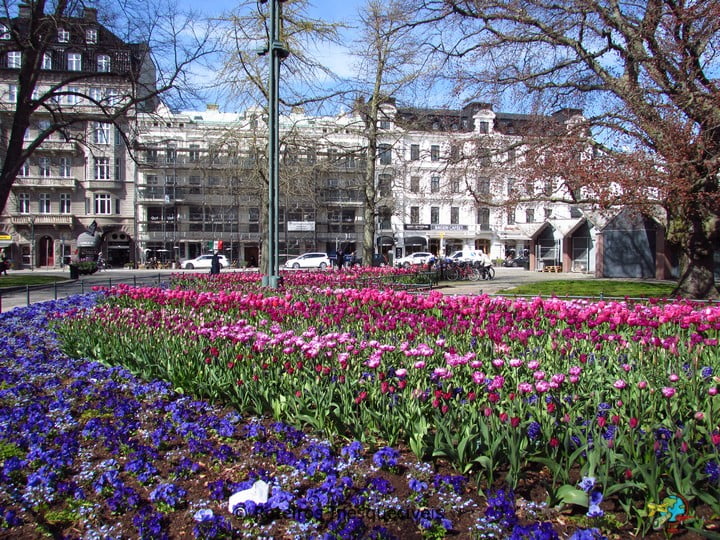 Gustav Adolfs Torg - Malmo - Suecia