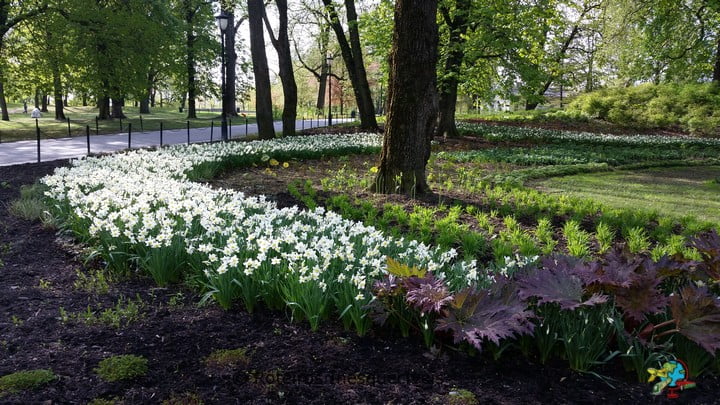 Slottsparken - Oslo - Noruega