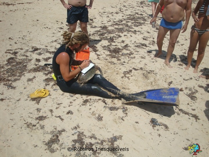 Baia do Sueste - Fernando de Noronha - Brasil
